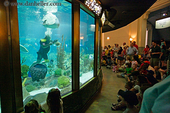 people-viewing-aquarium-06.jpg