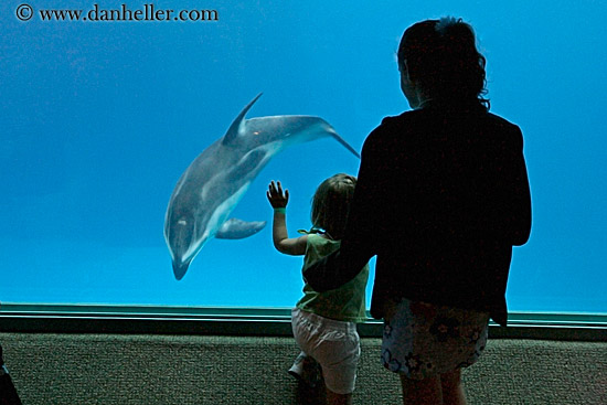 people-viewing-aquarium-07.jpg