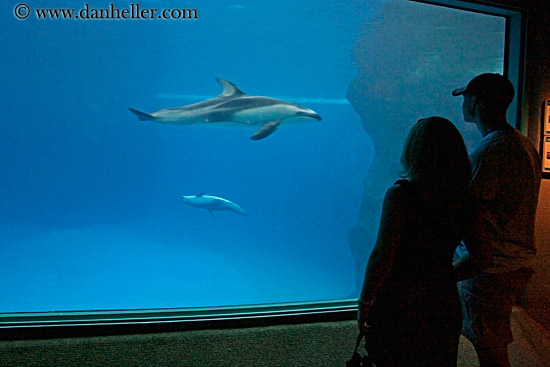 people-viewing-aquarium-10.jpg