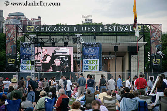 blues-festival-crowd-1.jpg