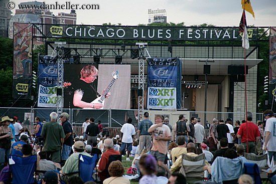 blues-festival-crowd-2.jpg