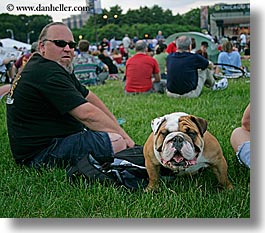 america, blues festival, bulldogs, chicago, dogs, horizontal, illinois, men, north america, united states, photograph