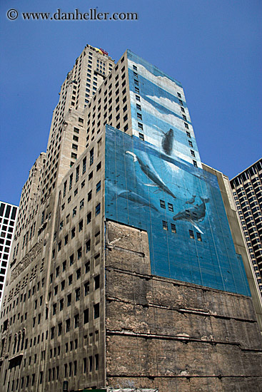 whale-mural.jpg