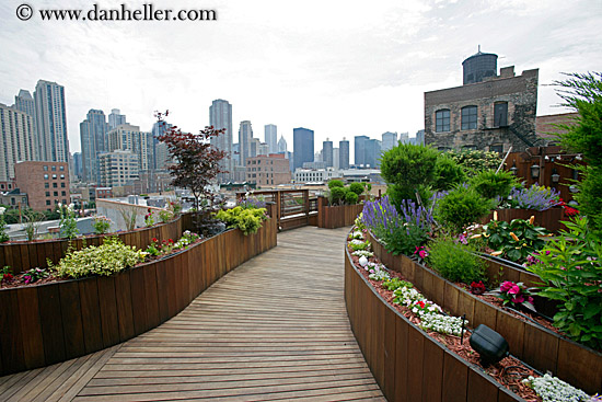 rooftop-garden-cityscape-1.jpg