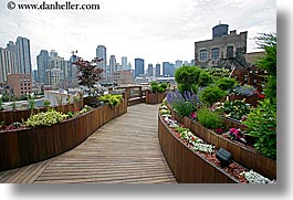 america, chicago, cityscapes, gardens, horizontal, illinois, north america, rooftops, united states, photograph