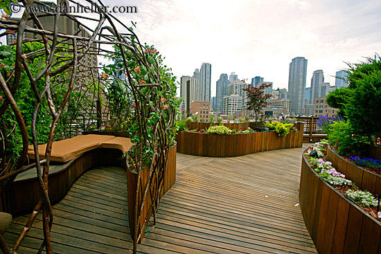 rooftop-garden-cityscape-3.jpg