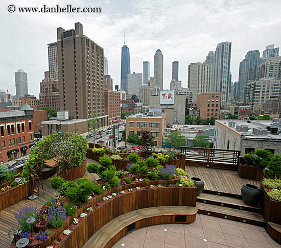 rooftop-garden-cityscape-5.jpg