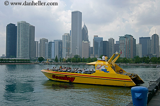 sea-dog-boat-cityscape-2.jpg