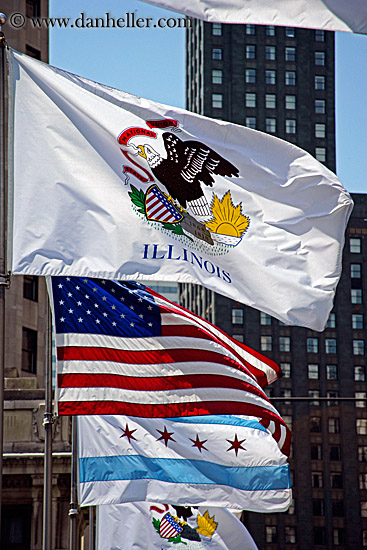 illinois-usa-flags.jpg