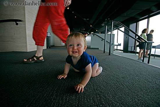 jack-crawl-carpet.jpg