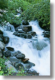 america, avalanche, avalanche trail, glaciers, gorge, montana, national parks, north america, united states, vertical, western united states, western usa, photograph