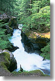 america, avalanche, avalanche trail, glaciers, gorge, montana, national parks, north america, united states, vertical, western united states, western usa, photograph