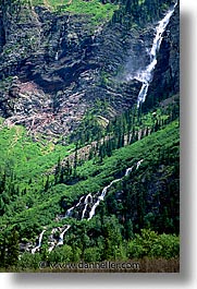 america, avalanche, avalanche trail, glaciers, lakes, montana, national parks, north america, united states, vertical, western united states, western usa, photograph