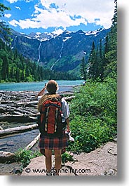 america, avalanche, avalanche trail, glaciers, lakes, montana, national parks, north america, united states, vertical, western united states, western usa, photograph