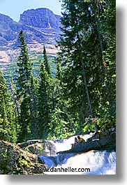 america, avalanche trail, glaciers, montana, national parks, north america, united states, vertical, water, western united states, western usa, photograph