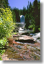 america, avalanche trail, glaciers, montana, national parks, north america, united states, vertical, water, western united states, western usa, photograph