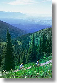 america, backroads, bicycles, big, glaciers, montana, mountains, national parks, north america, united states, vertical, western united states, western usa, photograph