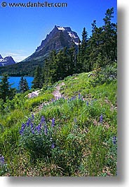 america, glaciers, lakes, mary, montana, national parks, north america, united states, vertical, western united states, western usa, photograph