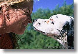 america, dogs, glaciers, horizontal, jills, montana, national parks, nature, north america, united states, western united states, western usa, photograph