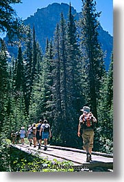 america, glaciers, hiking, montana, national parks, north america, scenics, united states, vertical, western united states, western usa, photograph