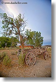 america, baker, nevada, north america, stagecoach, trees, united states, vertical, western usa, photograph
