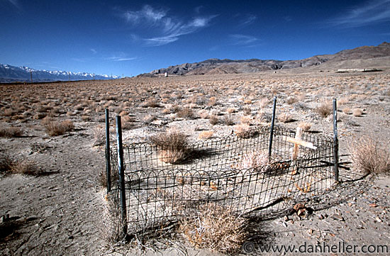 cerro-gordo-0006.jpg