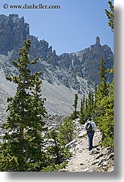 america, glacier trail, great basin natl park, hikers, hiking, nevada, north america, trees, united states, vertical, western usa, photograph