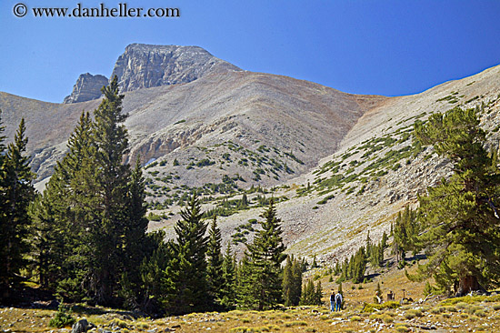 trees-n-mtns.jpg