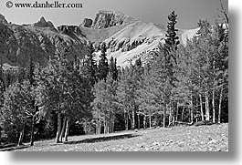 america, black and white, glacier trail, great basin natl park, horizontal, mountains, nevada, north america, trees, united states, western usa, photograph