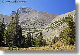images/UnitedStates/Nevada/GreatBasinNatlPark/GlacierTrail/trees-n-mtns.jpg