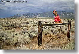 images/UnitedStates/Nevada/GreatBasinNatlPark/HighDesert/scooby_doo-on-fence-01.jpg