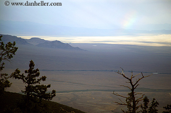 trees-desert-n-rainbow.jpg