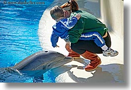 america, animals, casino, dolphins, horizontal, hotels, kid, las vegas, mirage, nevada, north america, the strip, united states, western usa, photograph