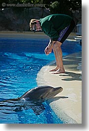 images/UnitedStates/Nevada/LasVegas/Hotels/Mirage/Animals/Dolphins/dolphin-n-trainer-2.jpg