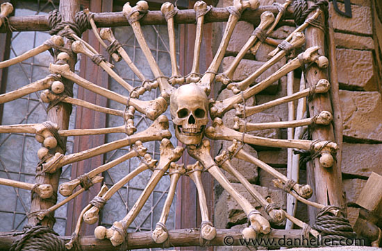 skull-n-bones.jpg