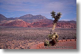 america, horizontal, nevada, north america, red, red rock, rocks, united states, western usa, photograph