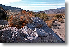 images/UnitedStates/Nevada/Scenics/scenic-3.jpg