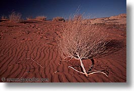 america, fire, horizontal, nevada, north america, united states, valley, valley fire, western usa, photograph