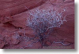 america, fire, horizontal, nevada, north america, united states, valley, valley fire, western usa, photograph