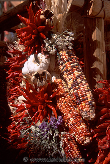 indian-corn.jpg