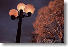 america, desert southwest, horizontal, indian country, new mexico, north america, santa fe, southwest, trees, united states, western usa, photograph