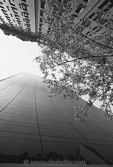 skyscraper-1.jpg
