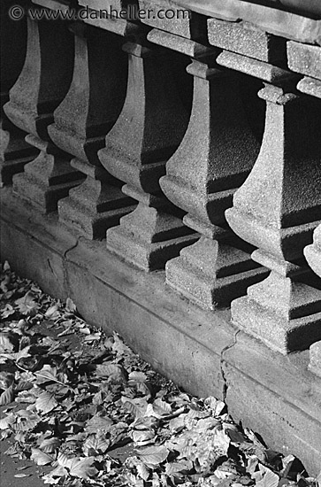 cement-rail-leaves.jpg