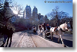 america, central park, horizontal, new york, new york city, north america, park, united states, photograph