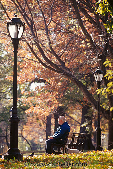 central-park-a.jpg