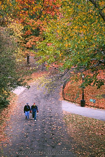 central-park-c.jpg