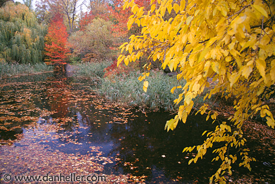 central-park-e.jpg