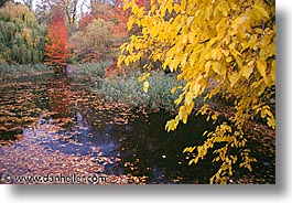 america, central park, horizontal, new york, new york city, north america, park, united states, photograph