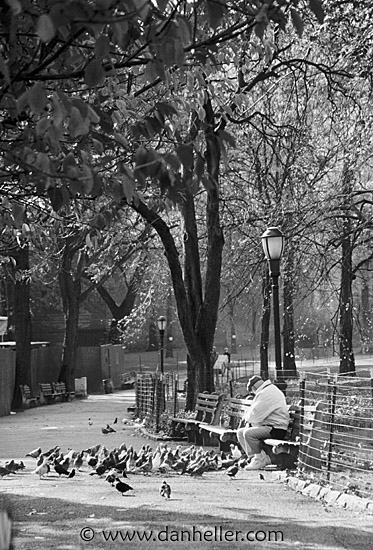 park-bench-bw.jpg