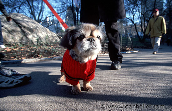 red-sweater.jpg